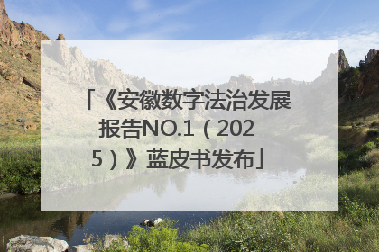 《安徽数字法治发展报告NO.1（2025）》蓝皮书发布