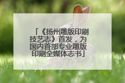 《扬州雕版印刷技艺志》首发，为国内首部专业雕版印刷全媒体志书