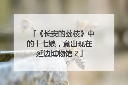 《长安的荔枝》中的十七娘，竟出现在延边博物馆？