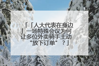 「人大代表在身边」一场特殊会议为何让多位外卖骑手主动“放下订单”？