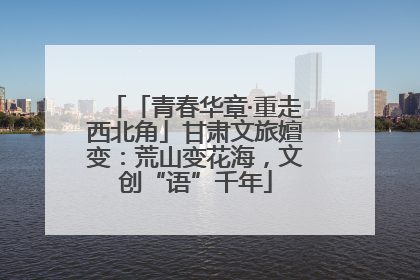 「青春华章·重走西北角」甘肃文旅嬗变：荒山变花海，文创“语”千年