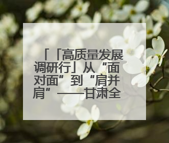 「高质量发展调研行」从“面对面”到“肩并肩”——甘肃全利电力装备生产制造项目一线见闻