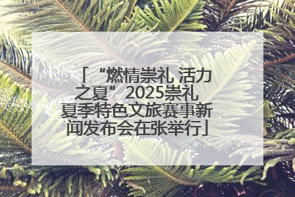 “燃情崇礼 活力之夏”2025崇礼夏季特色文旅赛事新闻发布会在张举行