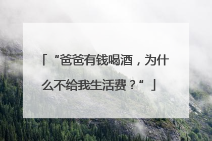 “爸爸有钱喝酒，为什么不给我生活费？”