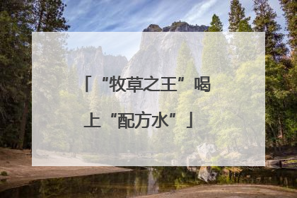 “牧草之王”喝上“配方水”