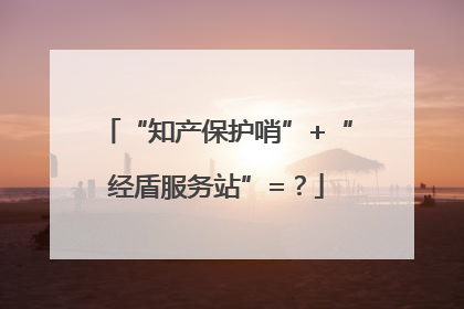 “知产保护哨”+“经盾服务站”=？