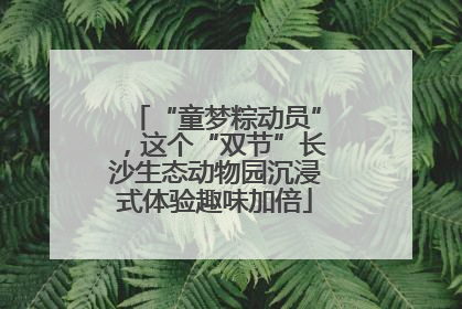“童梦粽动员”，这个“双节”长沙生态动物园沉浸式体验趣味加倍