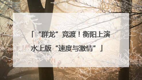 “群龙”竞渡！衡阳上演水上版“速度与激情”