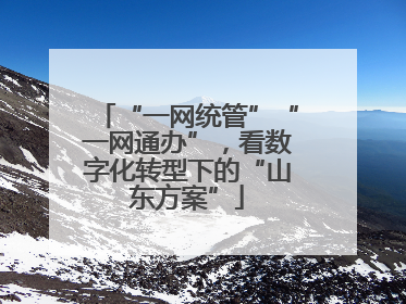 “一网统管”“一网通办”，看数字化转型下的“山东方案”