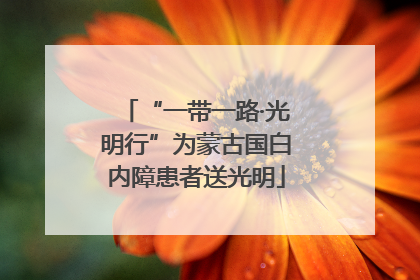 “一带一路·光明行”为蒙古国白内障患者送光明