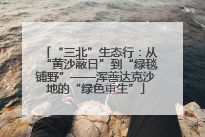 “三北”生态行：从“黄沙蔽日”到“绿毯铺野”——浑善达克沙地的“绿色重生”