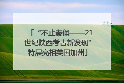“不止秦俑——21世纪陕西考古新发现”特展亮相美国加州
