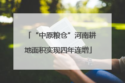 “中原粮仓”河南耕地面积实现四年连增