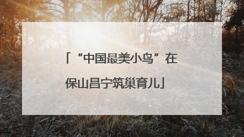 “中国最美小鸟”在保山昌宁筑巢育儿