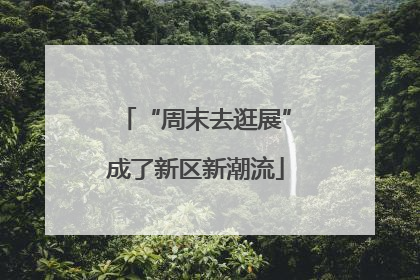 “周末去逛展”成了新区新潮流