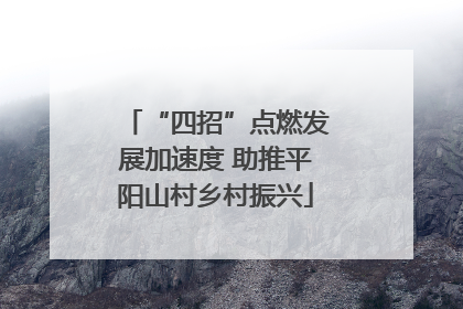 “四招”点燃发展加速度 助推平阳山村乡村振兴