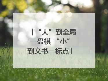 “大”到全局一盘棋 “小”到文书一标点
