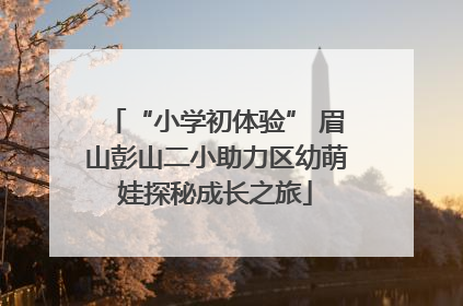 “小学初体验” 眉山彭山二小助力区幼萌娃探秘成长之旅