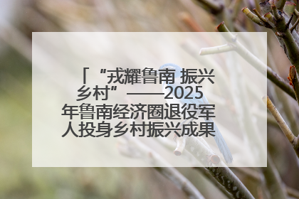 “戎耀鲁南 振兴乡村”——2025年鲁南经济圈退役军人投身乡村振兴成果展销会盛大启幕