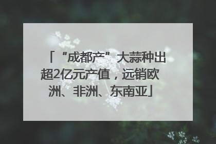 “成都产”大蒜种出超2亿元产值，远销欧洲、非洲、东南亚