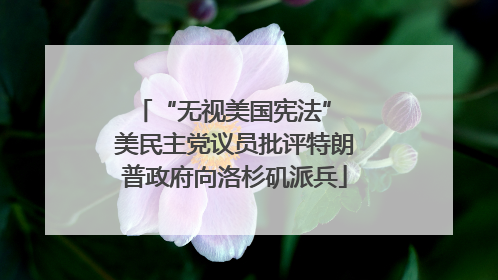“无视美国宪法” 美民主党议员批评特朗普政府向洛杉矶派兵