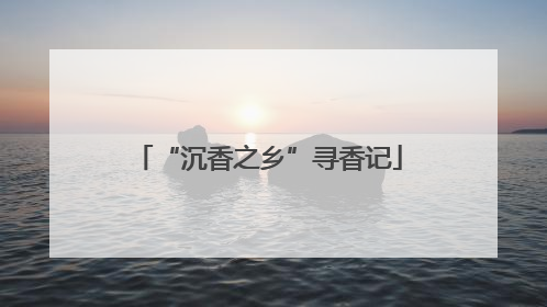 “沉香之乡”寻香记