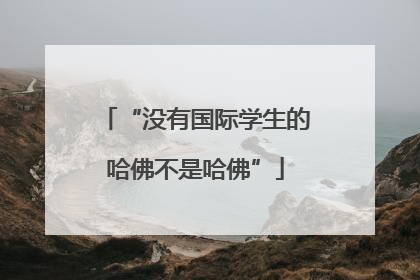 “没有国际学生的哈佛不是哈佛”