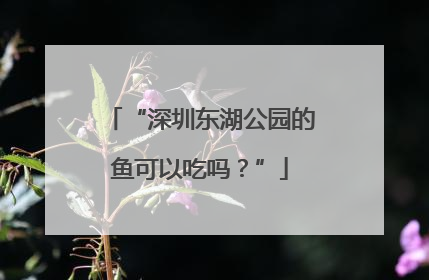 “深圳东湖公园的鱼可以吃吗？”