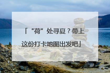 “荷”处寻夏？带上这份打卡地图出发吧