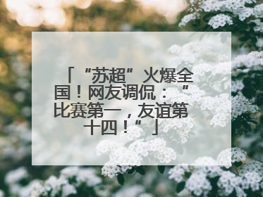 “苏超”火爆全国！网友调侃：“比赛第一，友谊第十四！”