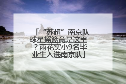 “苏超”南京队球星摇篮竟是这里？雨花实小9名毕业生入选南京队