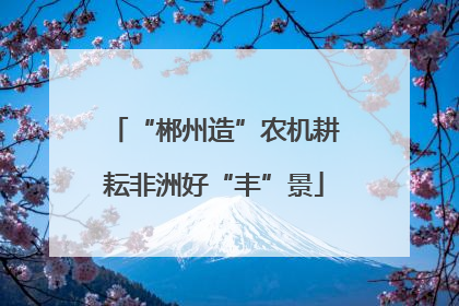 “郴州造”农机耕耘非洲好“丰”景