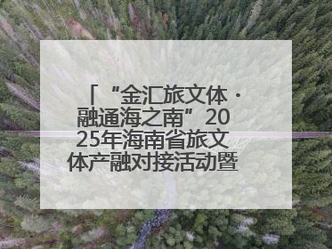 “金汇旅文体・融通海之南”2025年海南省旅文体产融对接活动暨金融服务中心成立仪式举行