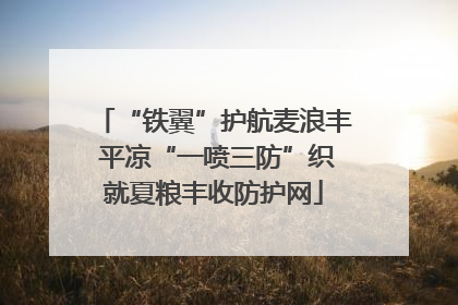 “铁翼”护航麦浪丰 平凉“一喷三防”织就夏粮丰收防护网