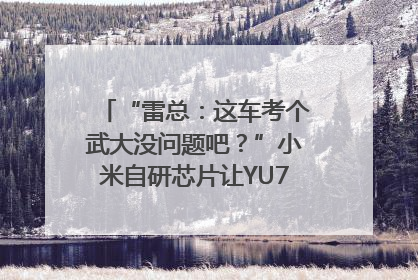 “雷总：这车考个武大没问题吧？”小米自研芯片让YU7会学习｜汽车科技