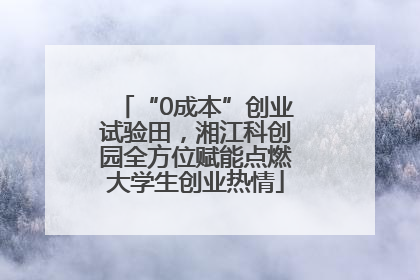 “0成本”创业试验田，湘江科创园全方位赋能点燃大学生创业热情