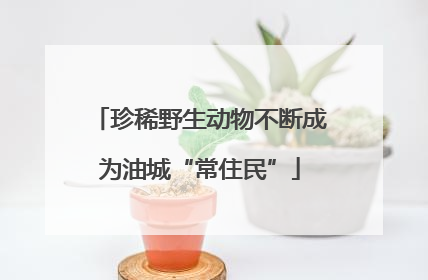 珍稀野生动物不断成为油城“常住民”