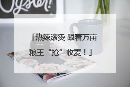 热辣滚烫 跟着万亩粮王“抢”收麦！
