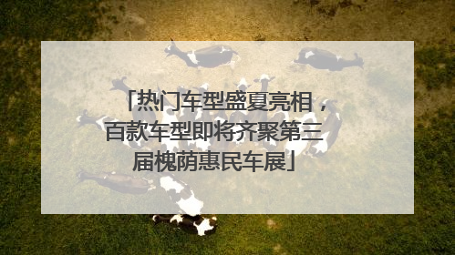 热门车型盛夏亮相，百款车型即将齐聚第三届槐荫惠民车展