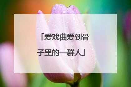 爱戏曲爱到骨子里的一群人