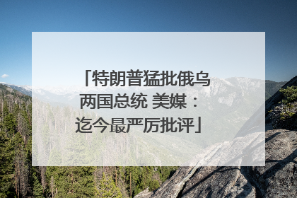 特朗普猛批俄乌两国总统 美媒：迄今最严厉批评