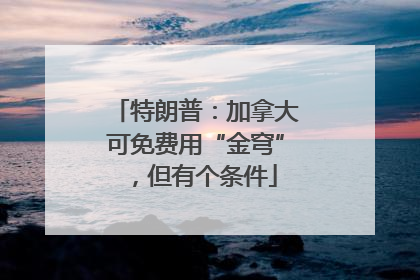 特朗普：加拿大可免费用“金穹”，但有个条件
