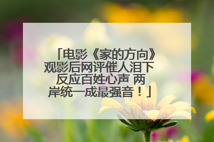 电影《家的方向》观影后网评催人泪下 反应百姓心声 两岸统一成最强音！