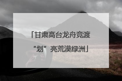 甘肃高台龙舟竞渡“划”亮荒漠绿洲