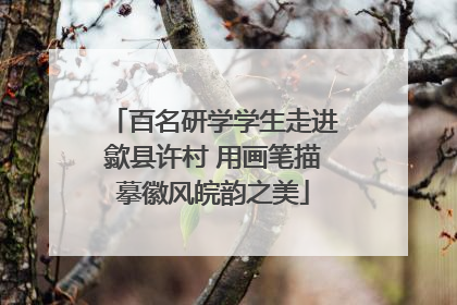 百名研学学生走进歙县许村 用画笔描摹徽风皖韵之美