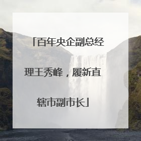 百年央企副总经理王秀峰，履新直辖市副市长