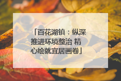 百花湖镇：纵深推进环境整治 精心绘就宜居画卷