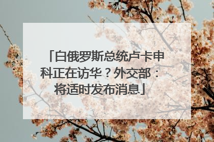 白俄罗斯总统卢卡申科正在访华？外交部：将适时发布消息