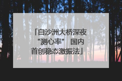 白沙洲大桥深夜“测心率” 国内首创稳态激振法