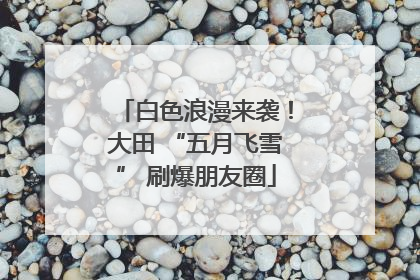 白色浪漫来袭！大田 “五月飞雪” 刷爆朋友圈
